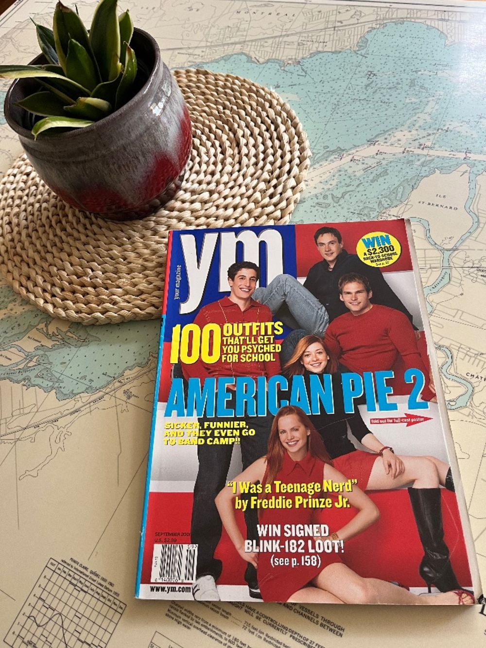 Vintage September 2001 YM American Pie 2 Cover Magazine - Picture 1 of 7